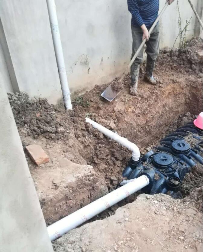 1574662555338729.jpg QQ截圖20191125141306.jpg